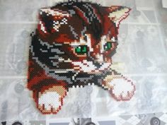 an image of a cat made out of beads