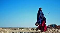 a woman walking across a rocky field with animals in the background and a blue sky