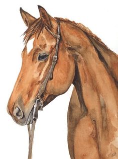 a watercolor painting of a brown horse