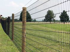 a wire fence in the middle of a grassy field