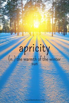 the sun shining through trees and snow with text that reads, aprity in the warmth of the winter