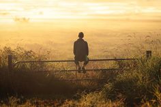 a person sitting on a fence looking out at the foggy field in the distance