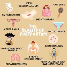 Postpartum Reality, Manifesting Motherhood, Prenatal Tips, Academic Notes, Doula Quotes, Postpartum Care Kit, Pregnancy Help, Postpartum Health