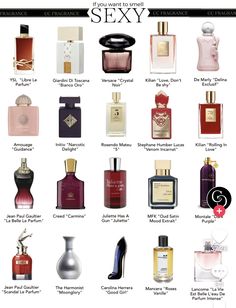 Perfum Best For Women, Women Perfume Top 10, Best Perfumes For Women, Most Attractive Perfume For Women, Sophisticated Perfume For Women, Popular Women’s Perfumes, معطر جو, Seductive Perfume