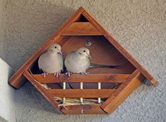 two birds perched on top of a wooden bird house