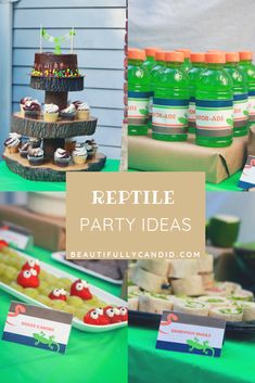 an assortment of party food and drinks on a green tablecloth with the words reptile party ideas