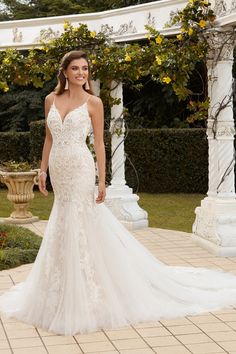 Sophia Tolli Wedding Dress Sophia Tolli: ST1223 - Soraya Sophia Tolli Wedding Dresses, Wedding Dresses Mermaid Sweetheart, Sophia Tolli, Evening Dresses For Weddings, Lace Mermaid, Lace Mermaid Wedding Dress, Modern Bride, Mermaid Dresses, Designer Wedding Dresses