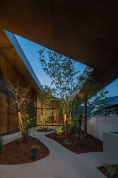 an outdoor walkway leading to a building with trees and bushes in the foreground at night