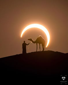 a man standing on top of a hill next to a camel in front of the sun