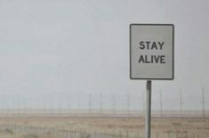 a street sign that says stay alive on it