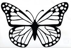 a black and white drawing of a butterfly