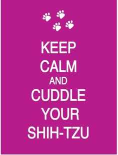 a poster with the words keep calm and cuddle your shih - tzu