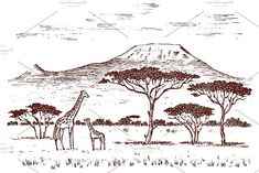 giraffes and trees in the savannah with a mountain behind them, vintage line drawing