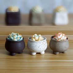 three ceramic pots with plants in them on a table