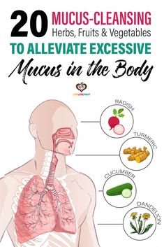 Excessive mucus in the body is irritating and uncomfortable. These 20 mucus cleansing herbs, fruit and vegetables can help eliminate it. Mucus In Throat, Getting Rid Of Mucus, Cleansing Herbs, Mucus Relief, Getting Rid Of Phlegm, Best Cough Remedy, Lung Cleanse, Lung Detox, Healthy Lungs