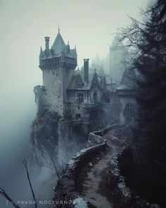 an old castle is surrounded by fog and trees