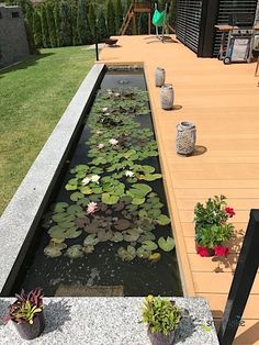 there is a small pond with water lilies in it and potted plants on the side