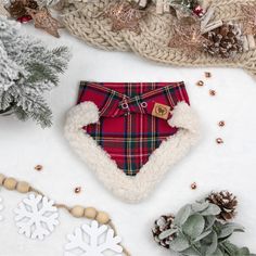 a dog wearing a red tartan plaid christmas outfit next to snowflakes and pine cones