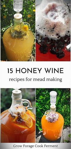 honey wine recipes for mead making, including orange juice and cranberry sauces