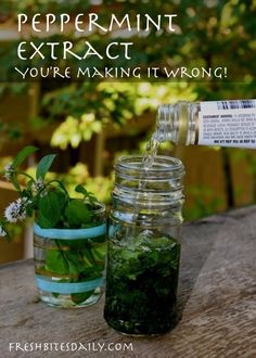 a mason jar filled with green liquid next to a potted plant and tag that says peppermint extract you're making it wrong