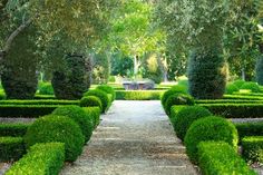 an outdoor garden with hedges and trees