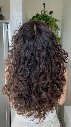 Layers With Wavy Curly Hair, Curly Haircuts Long Layers, Wavy Hair Haircut Layers, Long Layers With Curly Hair, V Shaped Haircut With Layers Curly Hair, 2c Hair Cuts With Layers, 2c Hair Layers, 2b Hair Layers, Brown 2c Hair