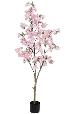 a small tree with pink flowers in a black pot