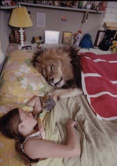 Pet Lion, Melanie Griffith, Animals Friendship, A Lion, Family Pet, Beautiful Cats, 귀여운 동물, Cute Funny Animals, Animals Friends