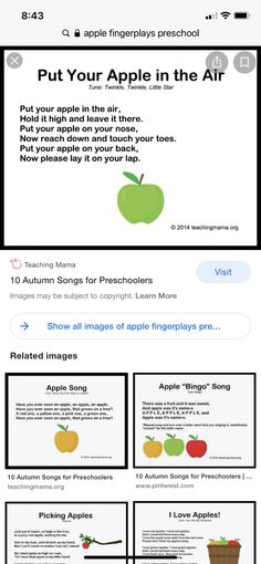 the apple info sheet is displayed in this screenshote, and shows how to use it