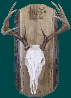 an animal skull mounted on a wooden plaque with deer's head and antlers