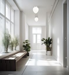 an empty hallway with plants and benches on the side walk in front of large windows