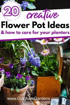 potted plants with the words 20 creative flower pot ideas and how to care for your planters