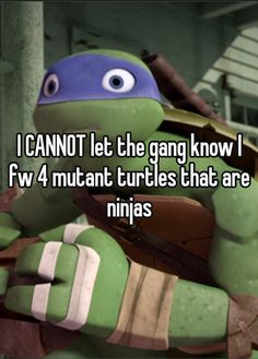 a turtle with the caption i cannot't let the gang know fw 4 mutant turtles that are ninjas