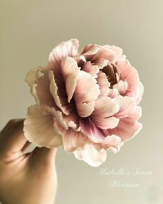 a person holding a pink flower in their hand