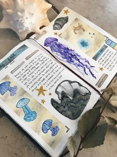 an open book sitting on top of a table next to leaves and seashells