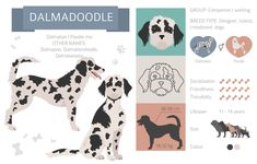 the dalmatian dog is standing next to other dogs and their names are shown