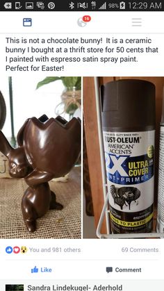 an image of chocolate bunny on facebook