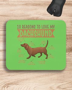 a mouse pad with an image of a dachshund on it and the words 10 reasons to love my dachshund