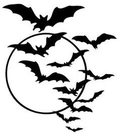 bats flying in the air around a circle