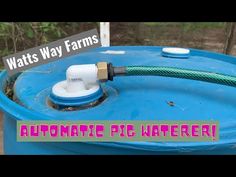 a blue barrel filled with water next to a sign that says automatic pig waterer