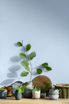 there are many pots and bowls on the table with a plant growing out of them