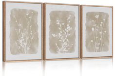 three framed art pieces with white flowers on the bottom and one is brown in color