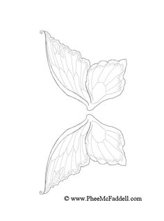 a drawing of two leaves that are shaped like the shape of a butterfly's wings