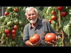 an older man holding two tomatoes in his hands