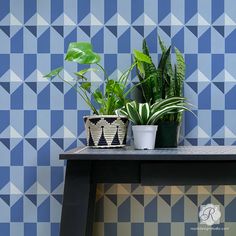 three houseplants are sitting on a table in front of a blue geometric wall