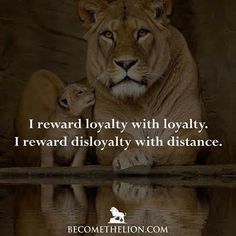 a lion and its cub sitting next to each other with the caption, i reward lovablely with lovableity, i reward dislevably with distance