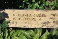 a wooden sign that says to plant a garden is to believe in the future