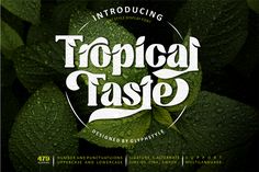 the tropical taste logo is surrounded by green leaves and water droplets on top of it