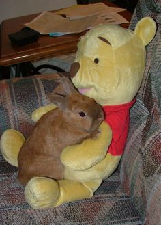 two stuffed animals sitting on top of a couch