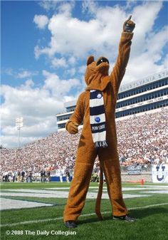 a man dressed in a bear costume on the field at a football game with fans